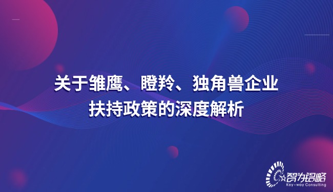 關(guān)于雛鷹、瞪羚、獨(dú)角獸企業(yè)扶持政策的深度解析.jpg