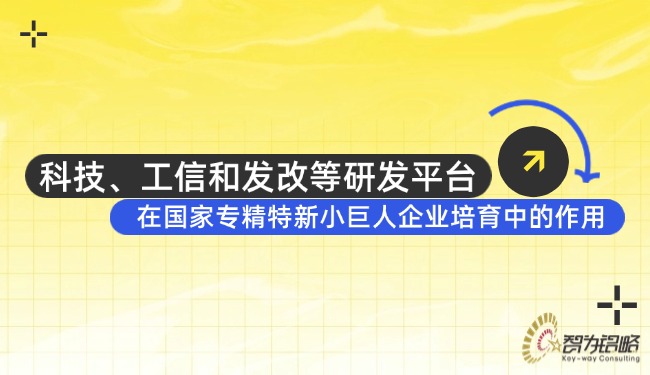 科技、工信和發(fā)改等研發(fā)平臺(tái)在國(guó)家專(zhuān)精特新小巨人企業(yè)培育中的作用.jpg