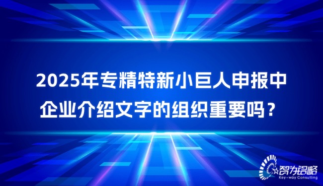 2025年專精特新小巨人申報(bào)中企業(yè)介紹文字的組織重要嗎？.jpg