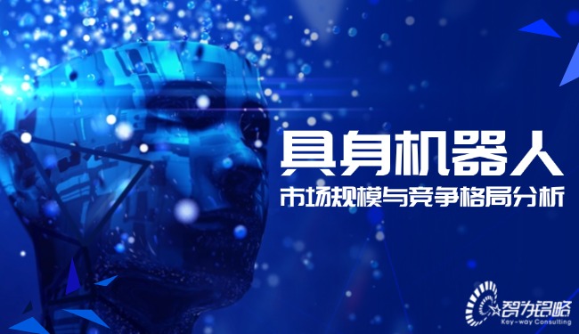 具身機(jī)器人的市場(chǎng)規(guī)模與競(jìng)爭(zhēng)格局分析